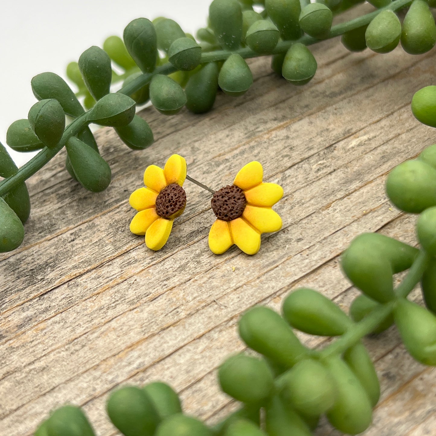 Sunflower Cuties