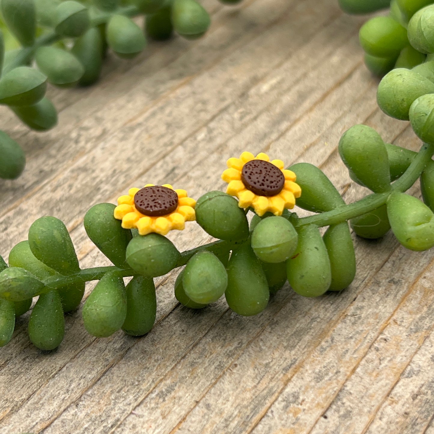 Sunflower Studs