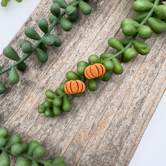 Pumpkin Studs